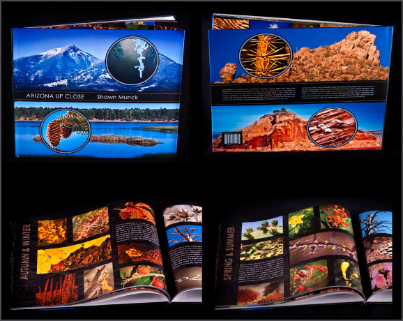 Arizona Up Close macro photography book